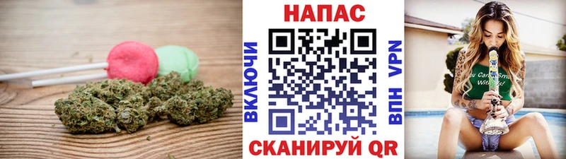 Cannafood конопля  Нолинск 