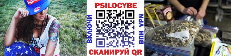 где найти наркотики  Нолинск  Псилоцибиновые грибы Cubensis 